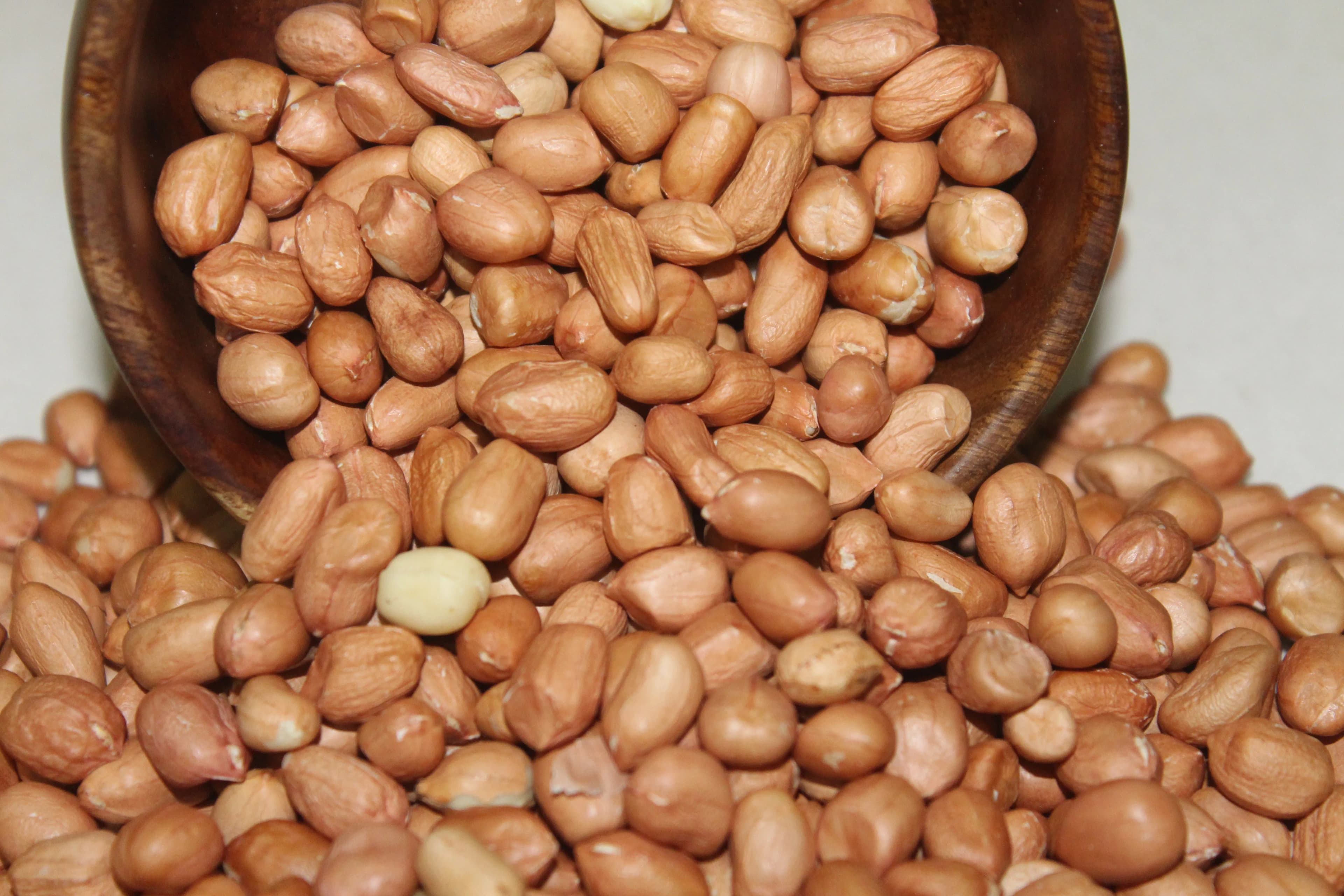 ICGV-15090 Premium High Oleic Peanuts