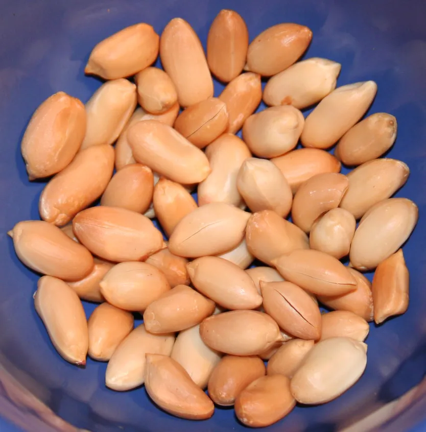 ICGV-15099 Premium High Oleic Peanuts