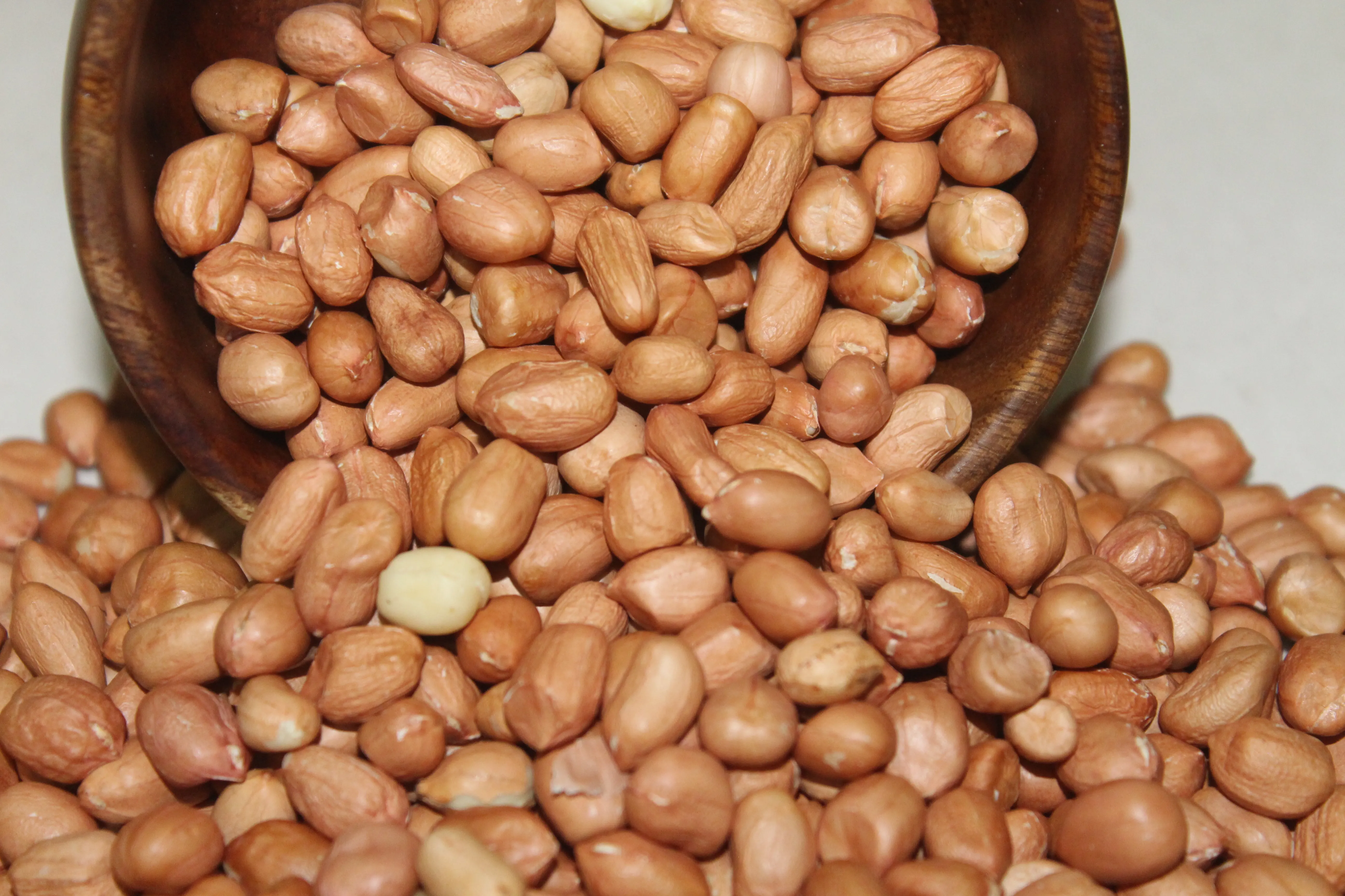 ICGV-15090/ Girnar 5 Premium High Oleic Peanuts