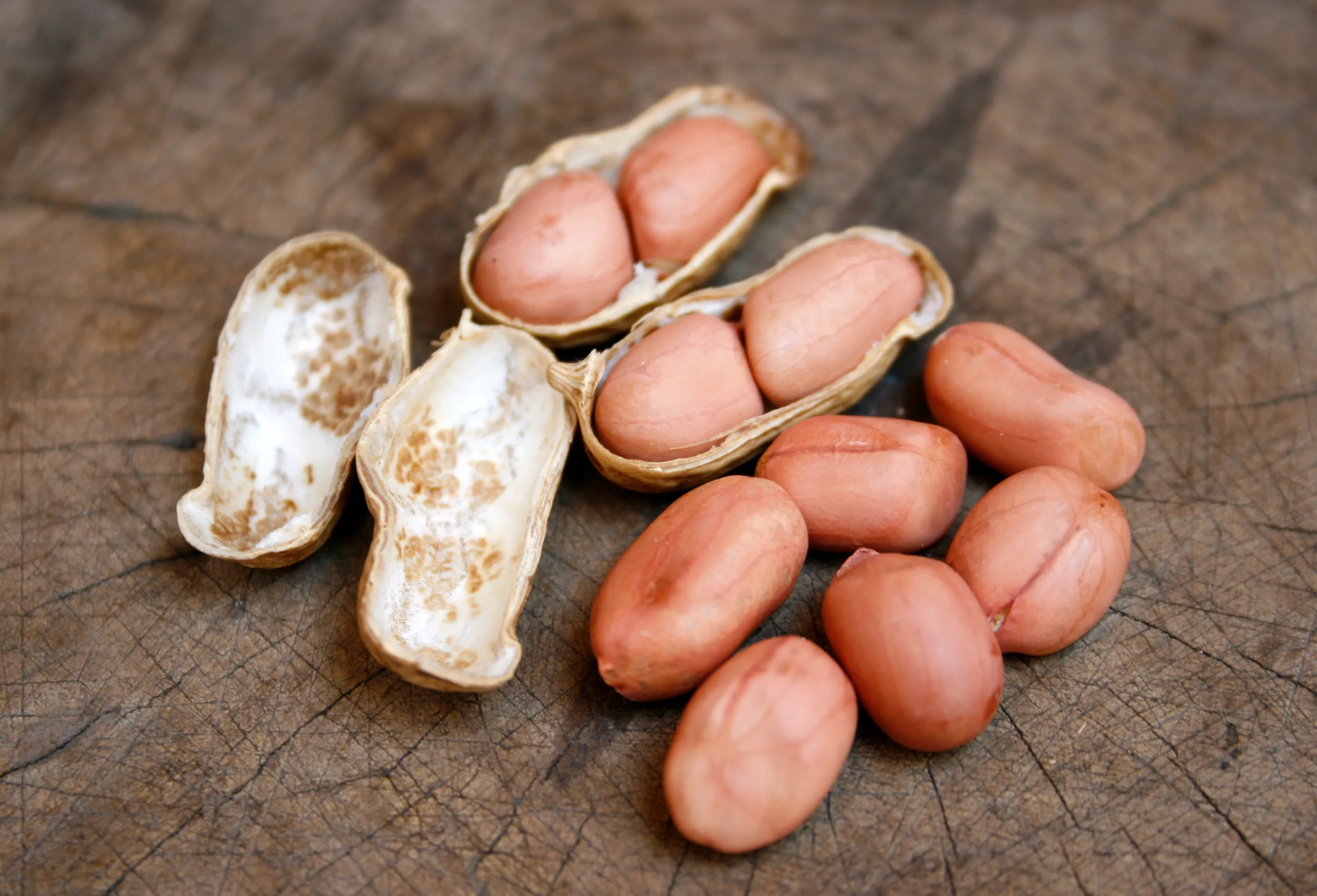 Premium Organic Peanuts