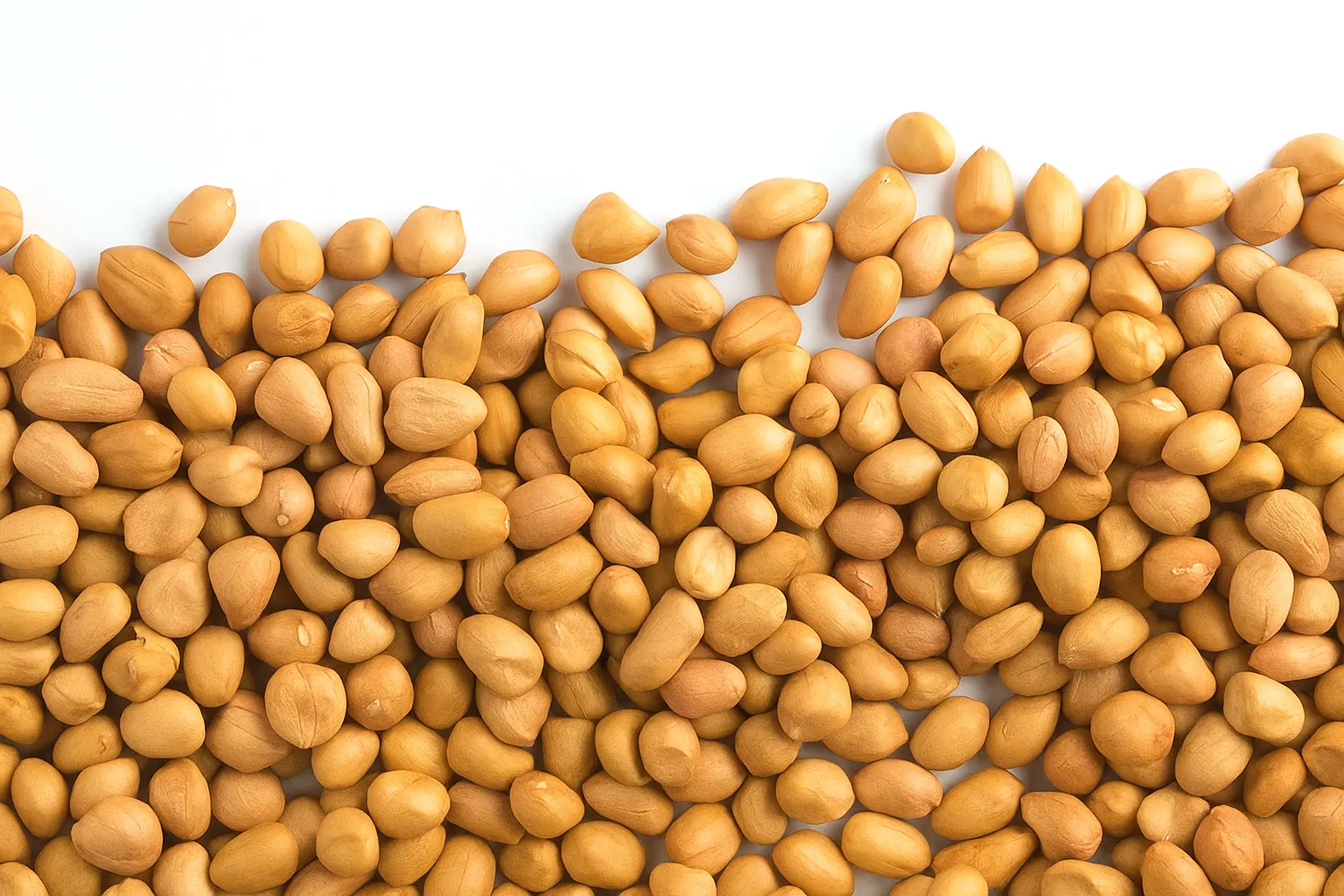TJ Peanuts