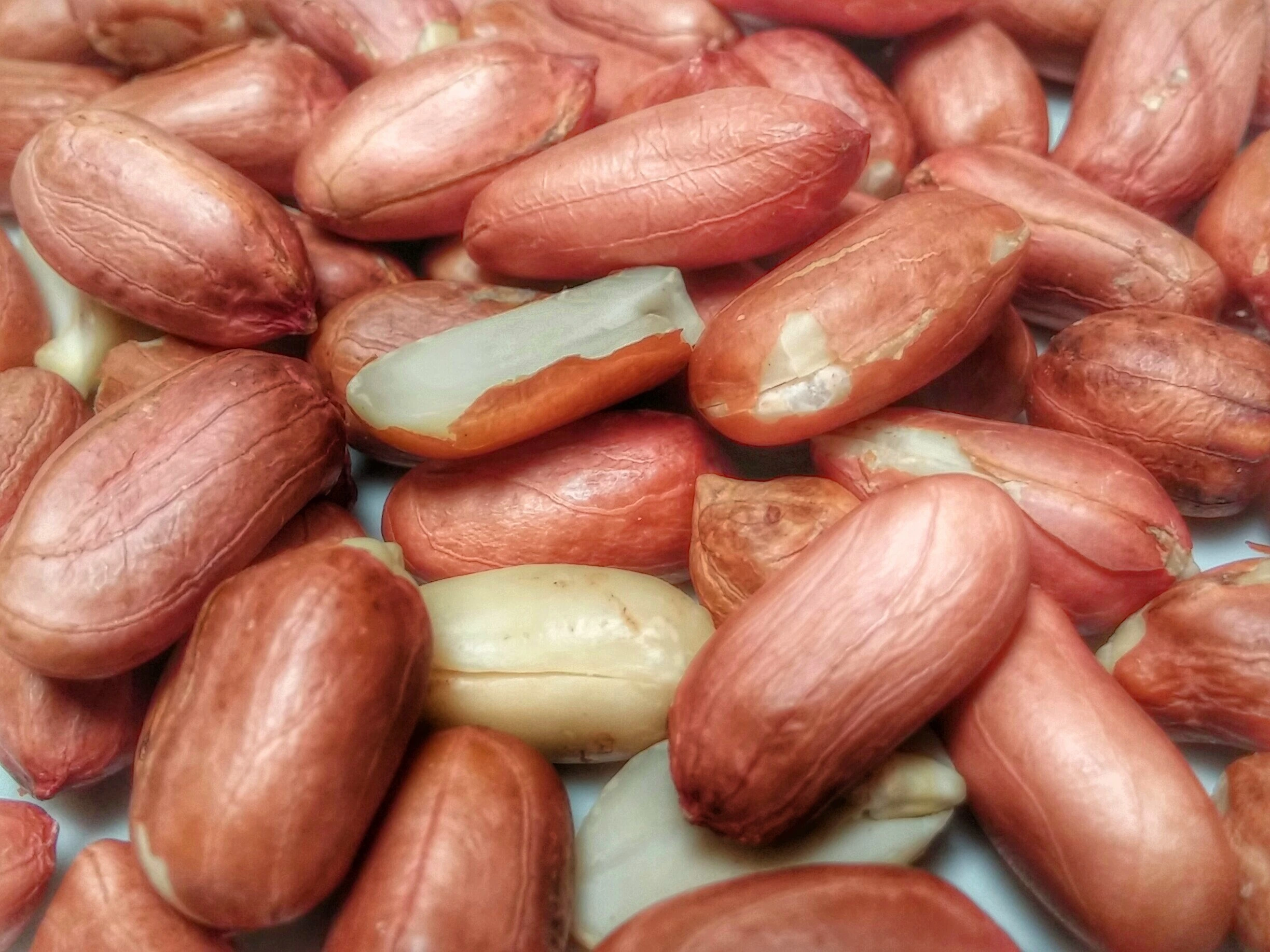 G20 Peanuts