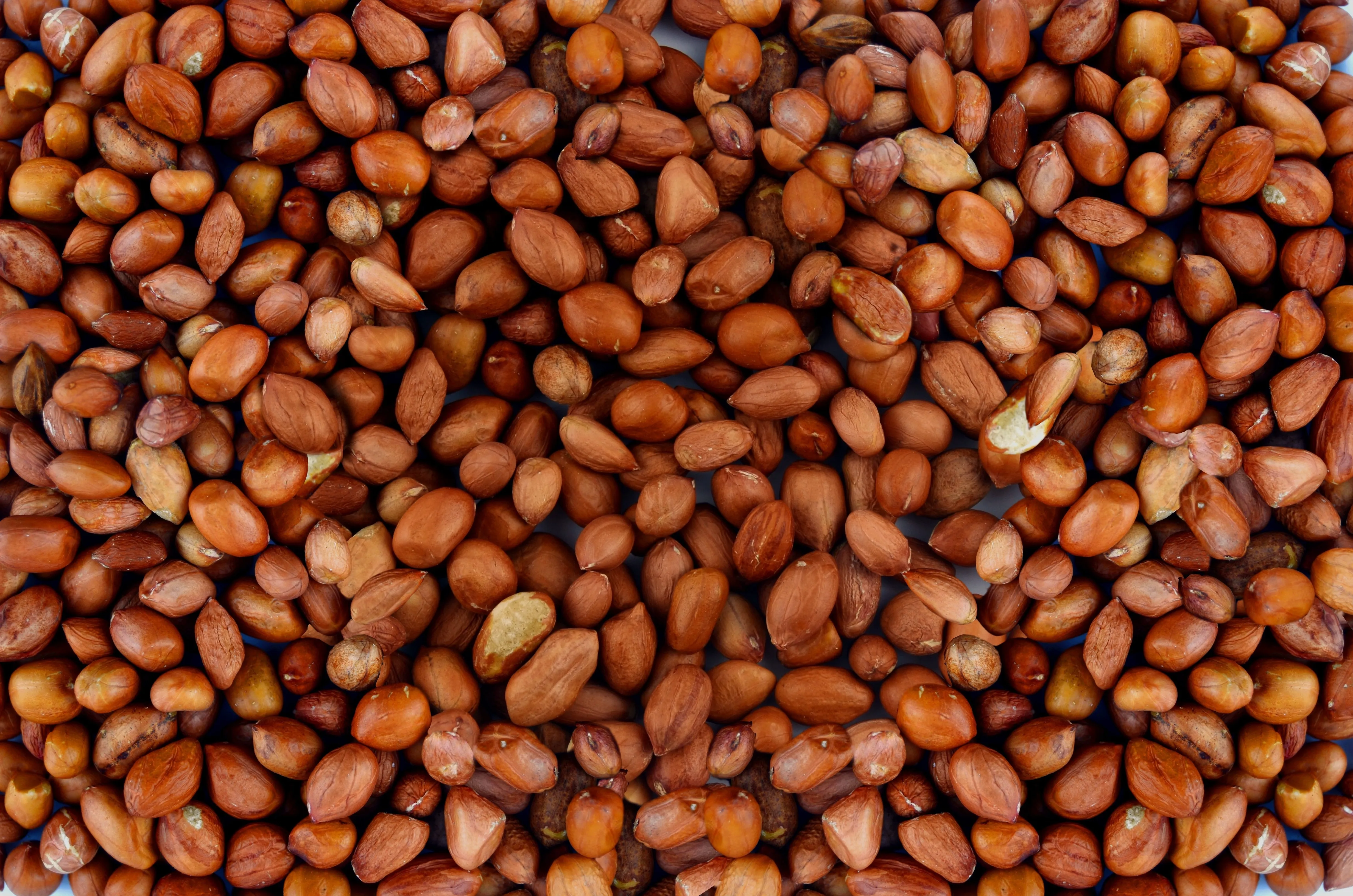 K6 Peanuts Product